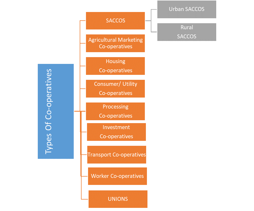 Types of Co-operatives