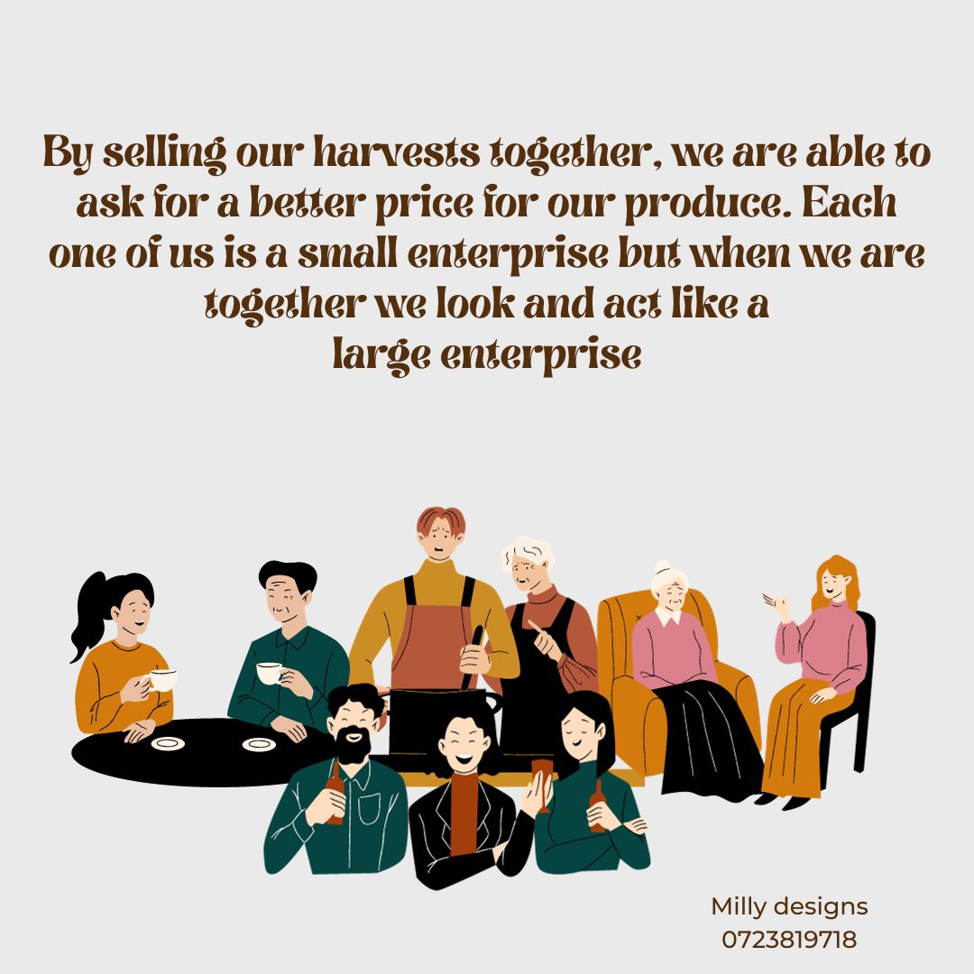 torgether-we-do-so-much