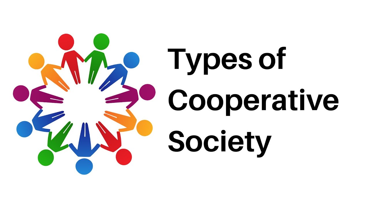 types-of-co-operatives
